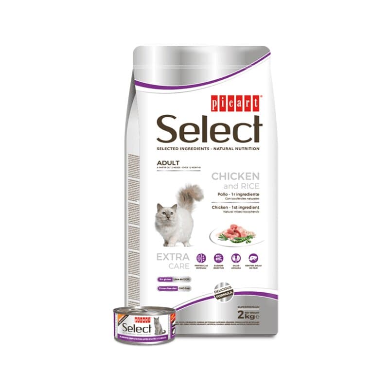 42 adult-chicken-rice-foto-991×1030