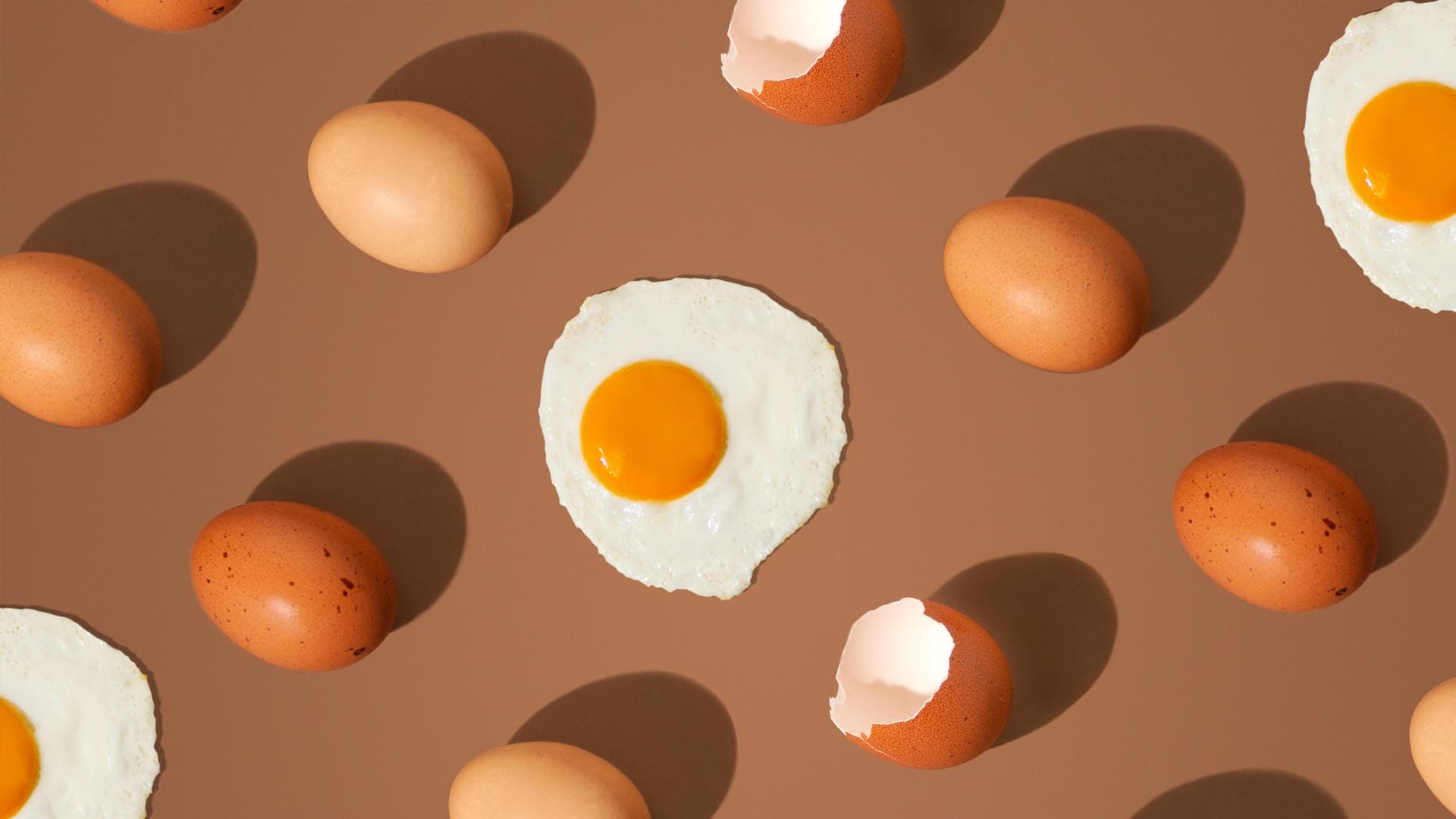 El huevo todopoderoso: pura proteína para tu perro