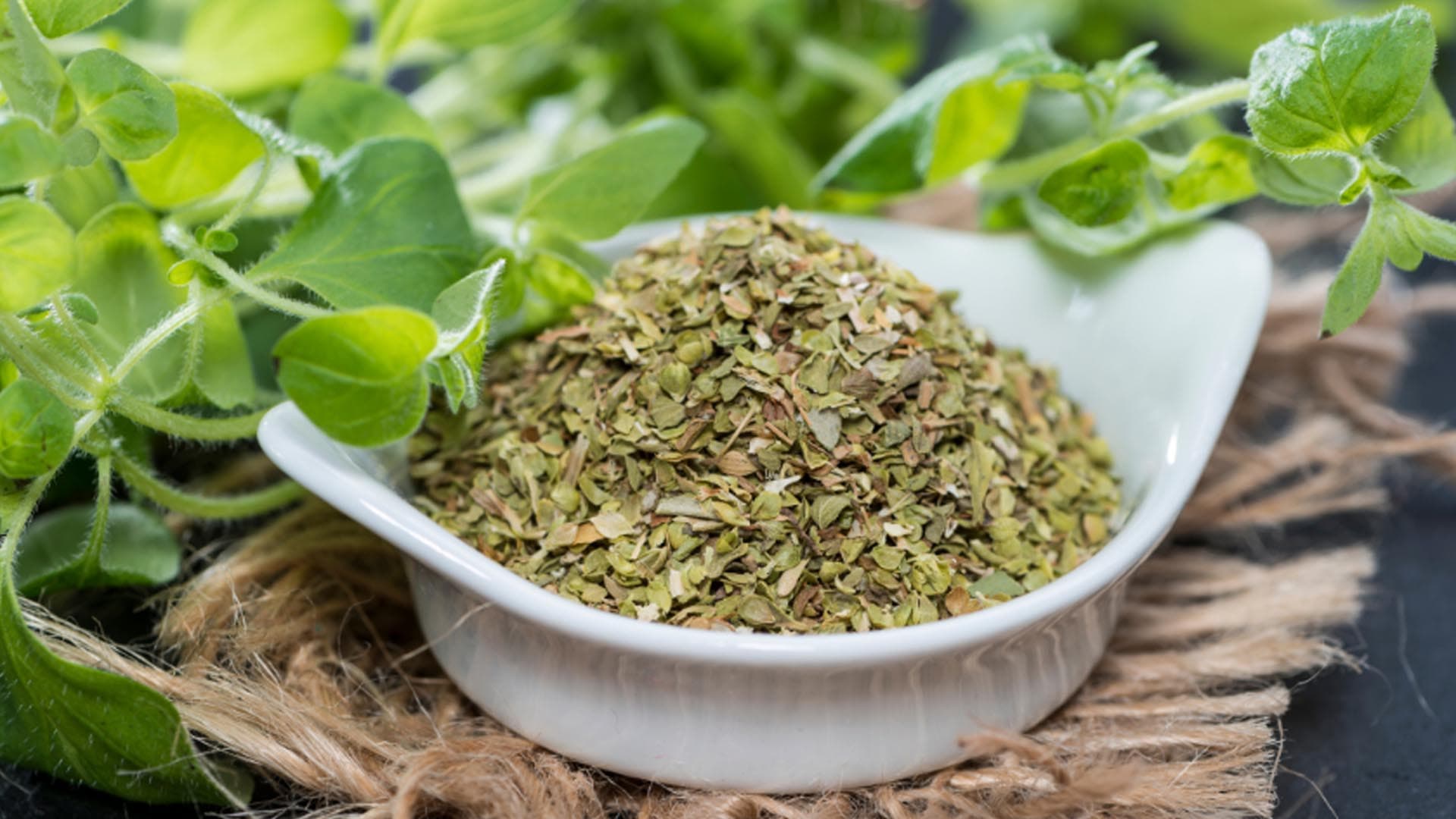 El orégano, un aliado perruno contra los hongos o levaduras