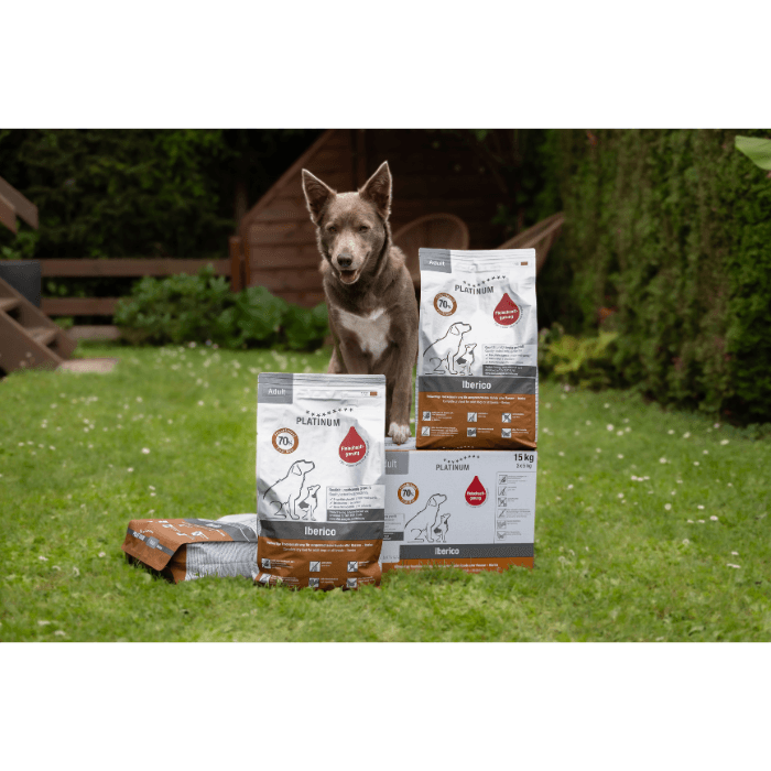Perro adulto junto a sacos de pienso Platinum Adult Ibérico 70% carne fresca de cerdo ibérico. Formato de 1,5kg y 5kg.