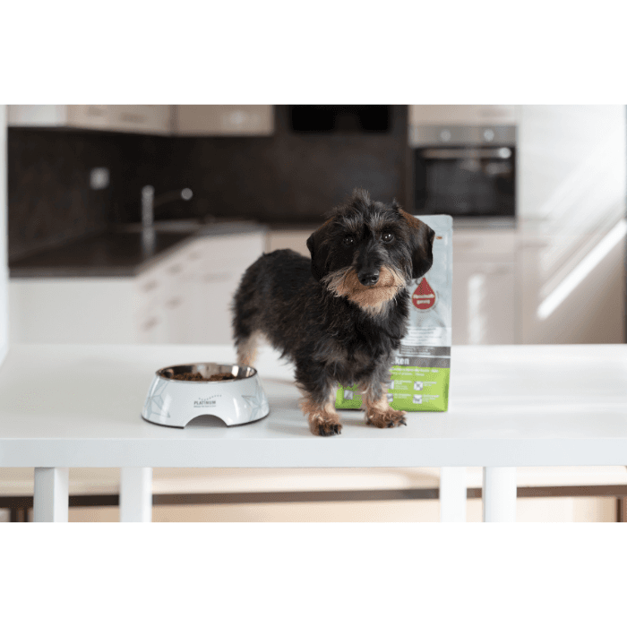Perro pequeño junto al cuenco con pienso Platinum Adult Chicken y el saco al fondo. 70% carne fresca de pollo.