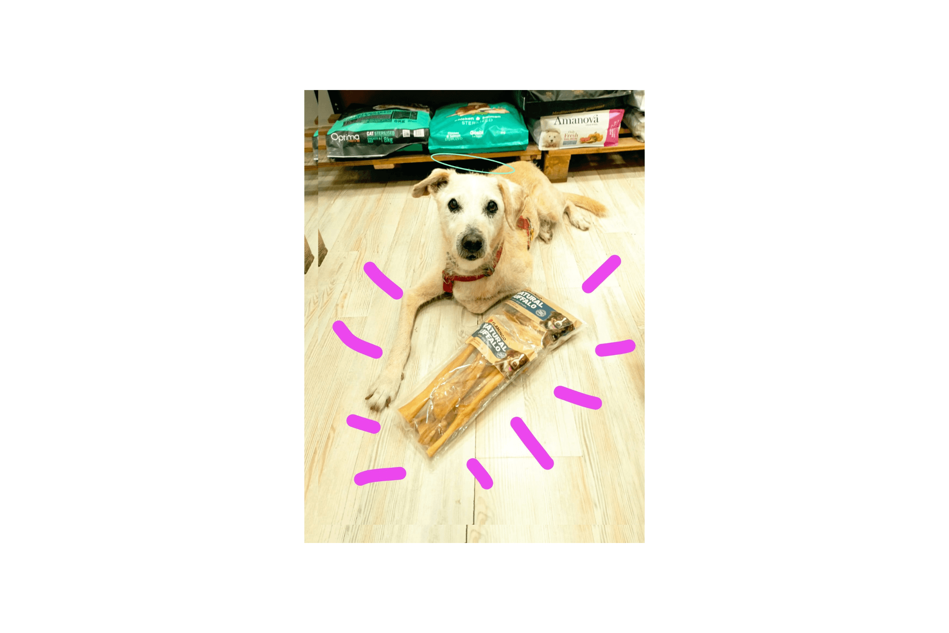 Piel de Cabeza de Búfalo – Snack Natural para Perros