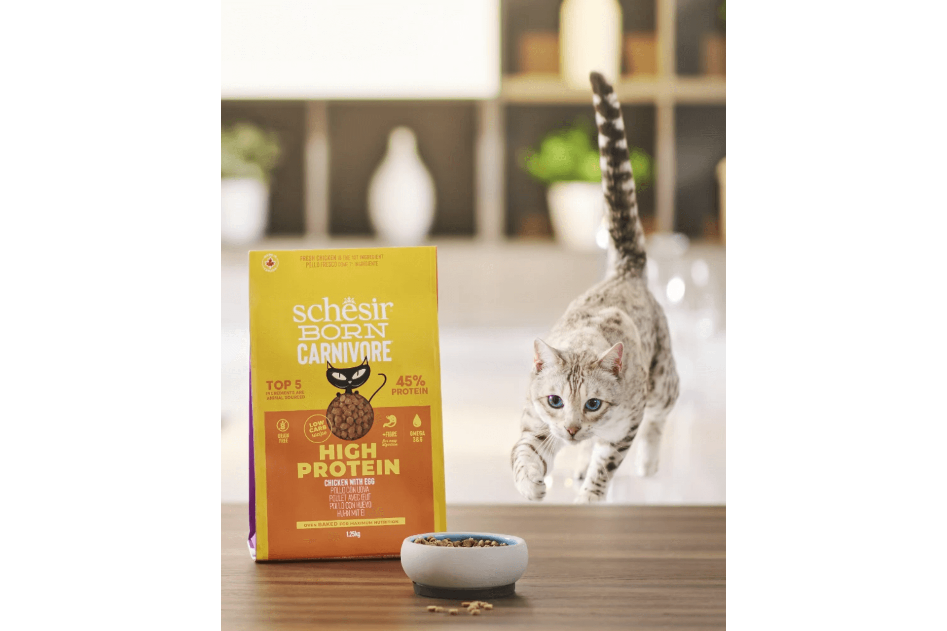 Schesir Pienso Born Carnivore