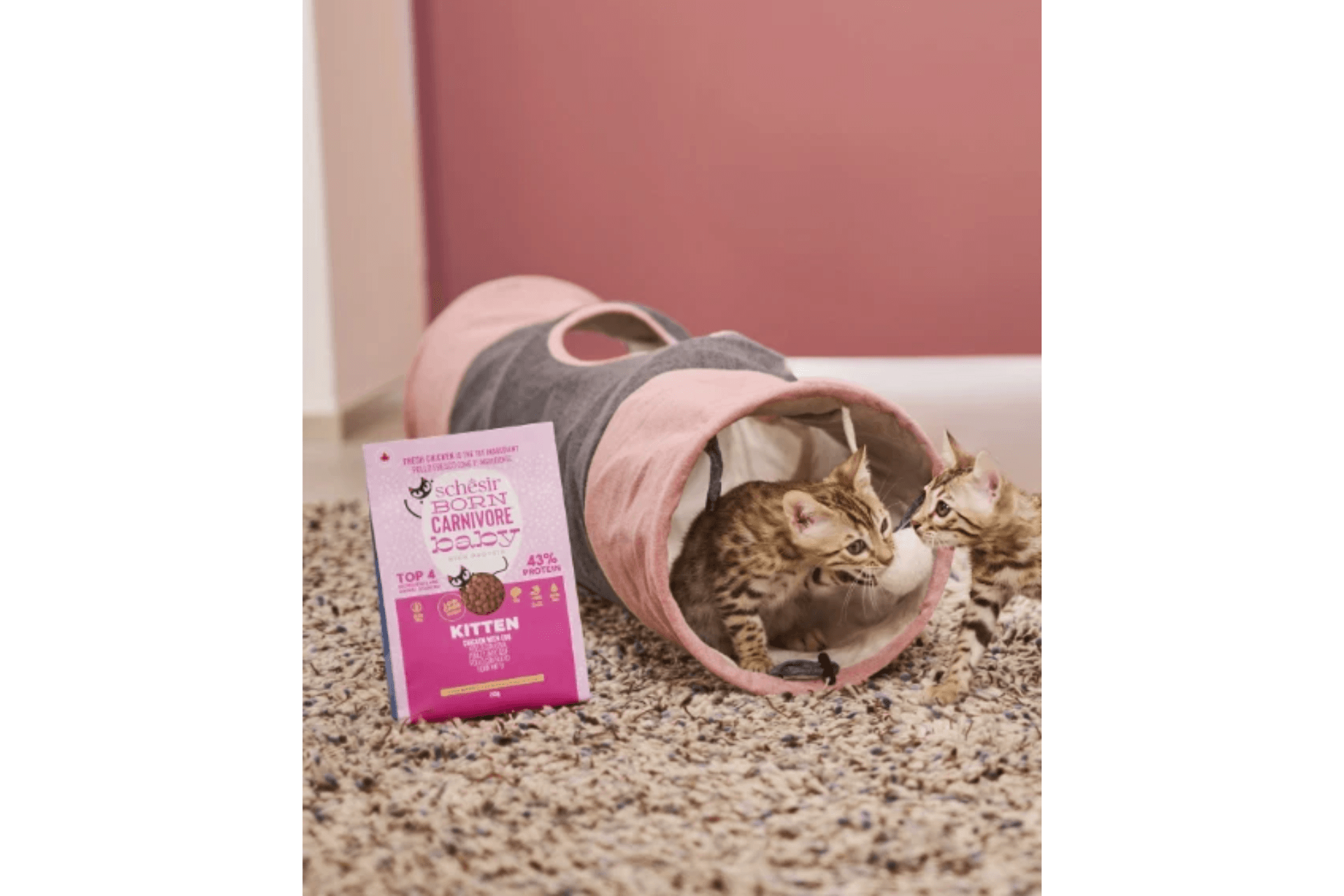 Diseño sin título(53)