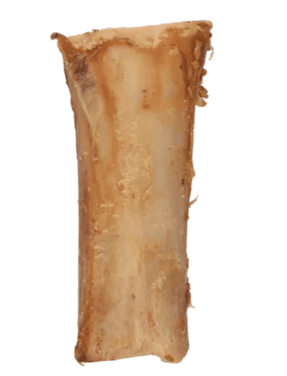 Tibia de Búfalo 1