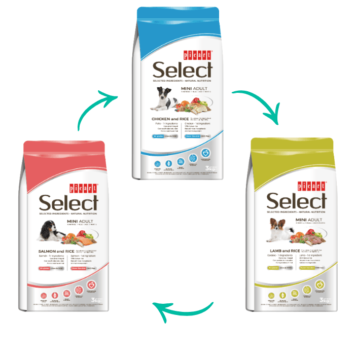 Picart Select Mini – UN SABOR DIFERENTE EN CADA ENVÍO