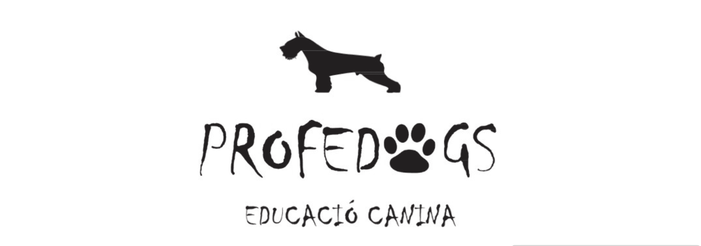 Consejos Navideños de Profedogs