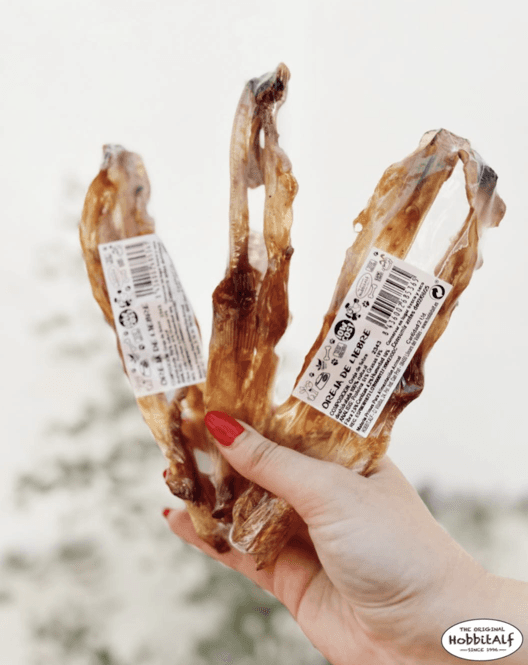 Oreja de conejo sin pelo 1