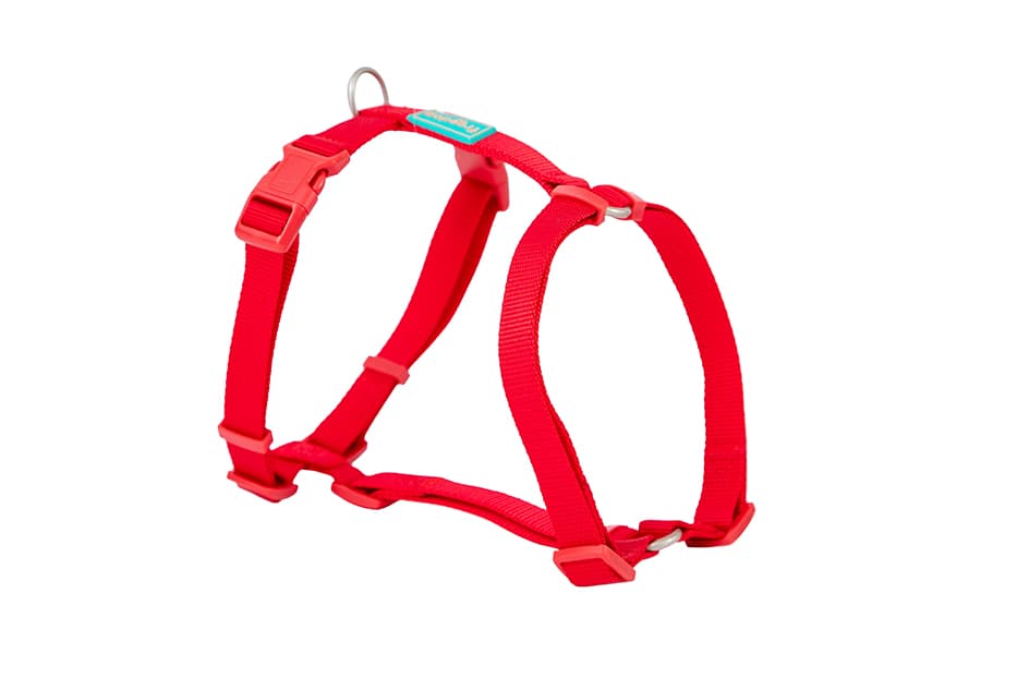 Arnés en H de nylon rojo Freedog