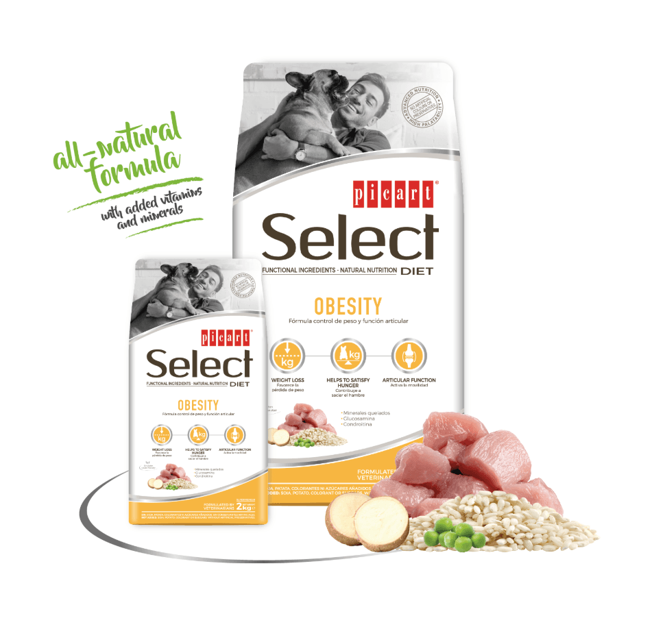 Picart Select Diet Obesity para perros