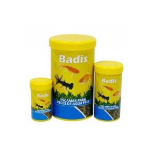 Badis, food for cold water fish