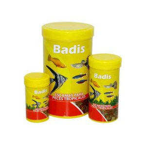Badis, food for tropical fish