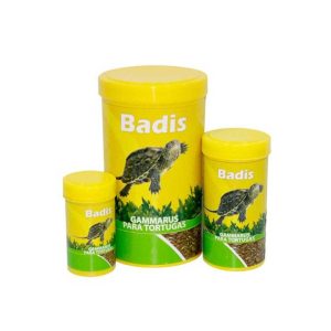 Badis gammarus for turtles